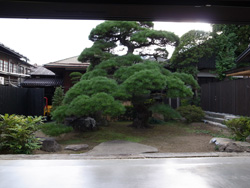 a0014840_21464148.jpg