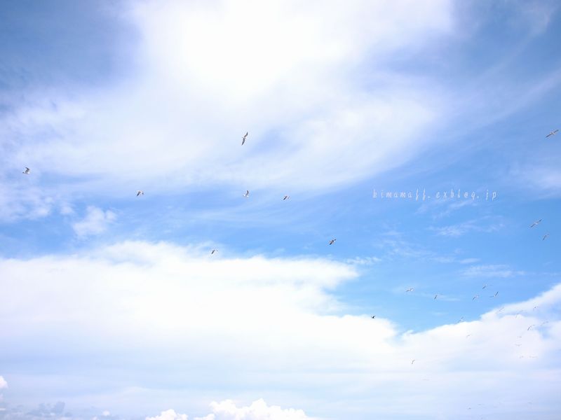b0165444_10273370.jpg
