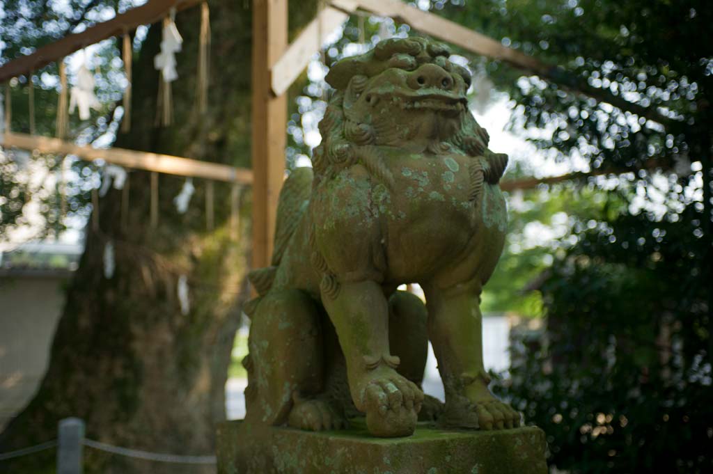 現人神社　福岡県筑紫郡那珂川町_b0023047_3462489.jpg