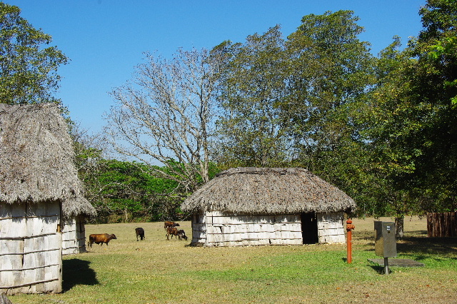 c0011649_2117113.jpg