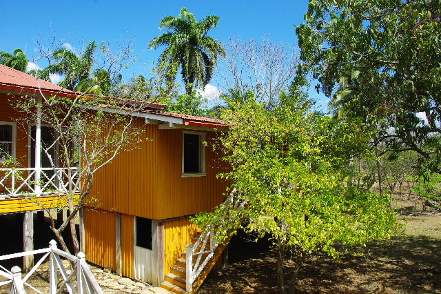 c0011649_2191061.jpg