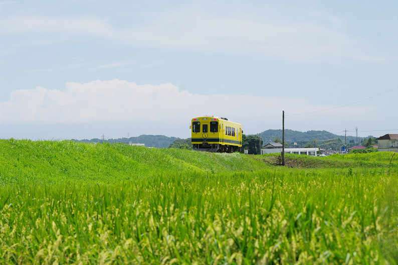 いすみ鉄道で、撮り鉄･ゆる鉄の聖地へ．．．_f0152550_1262440.jpg