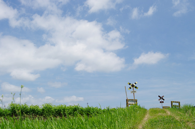 いすみ鉄道で、撮り鉄･ゆる鉄の聖地へ．．．_f0152550_12695.jpg