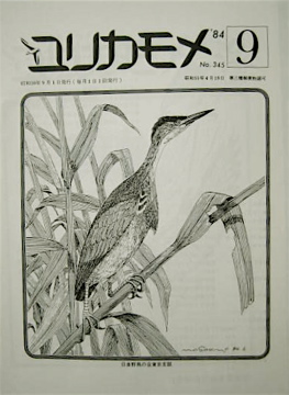 『表紙画』 ヨシゴイ　Ixobrychus sinensis_a0083553_0194462.jpg