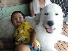 ゆずのリベンジ~ みんなの夏休み②_a0201257_16571365.jpg
