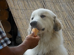 ゆずのリベンジ~ みんなの夏休み②_a0201257_168528.jpg