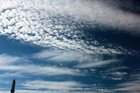 a0248459_2195478.jpg