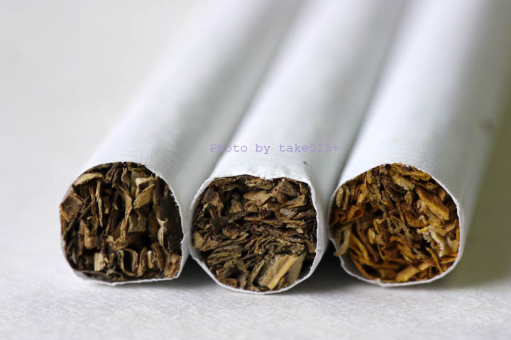 タバコじゃないけどタバコ？ にゃんこ向け？？？ : 楽煙通信（甘い