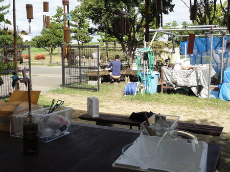 「ウミホタル観察会」リハーサルの用具洗浄 他 _c0108460_14193514.jpg