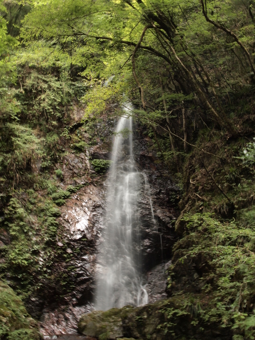 e0289260_20311512.jpg