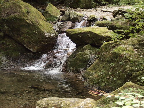 e0289260_203246100.jpg