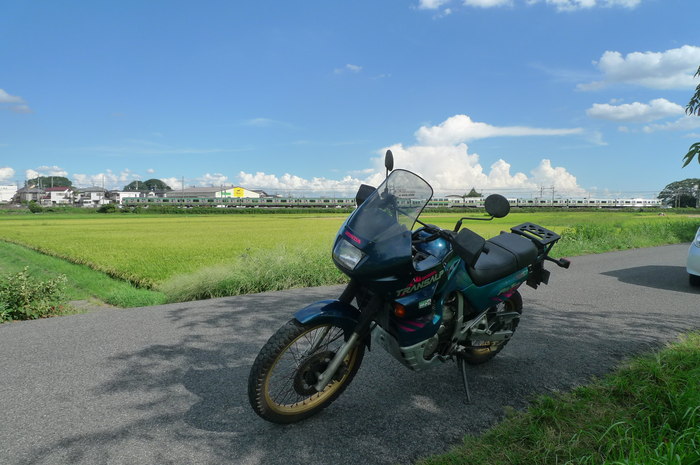d0031061_22234564.jpg