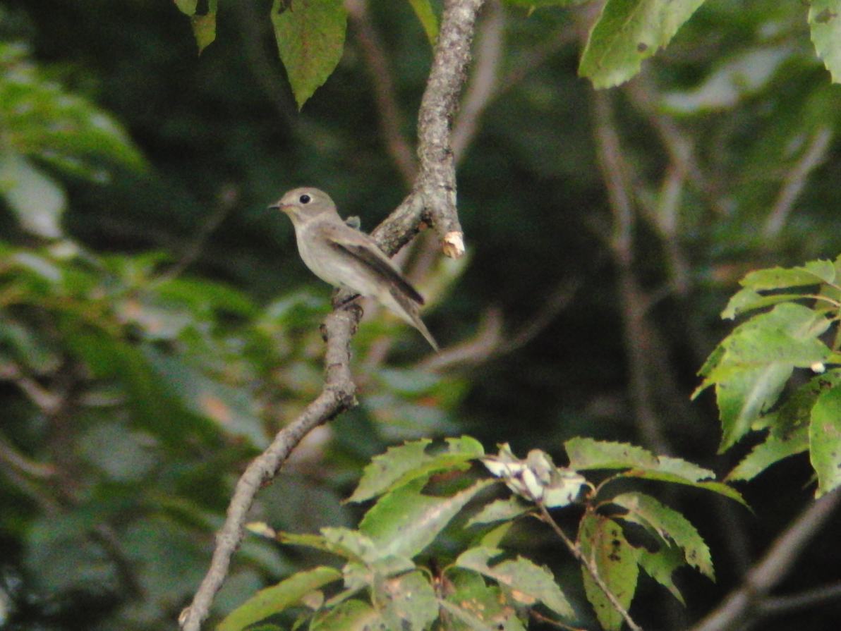 a0053771_15105290.jpg