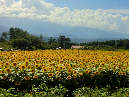 e0212771_2372989.jpg