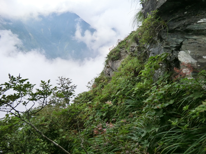 b0185573_15334111.jpg