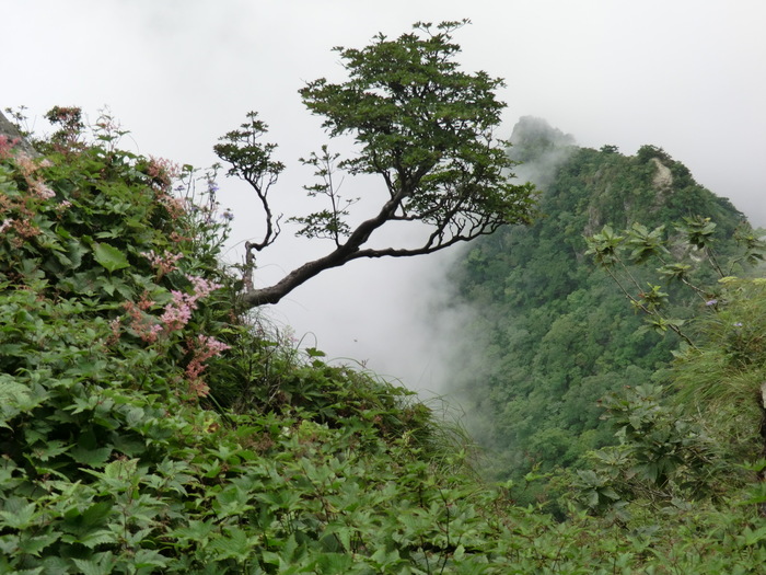 b0185573_15571290.jpg