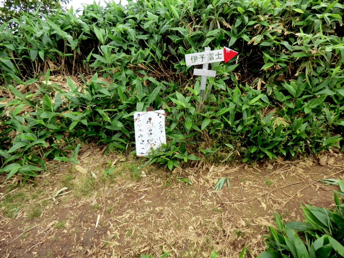 b0185573_20263466.jpg