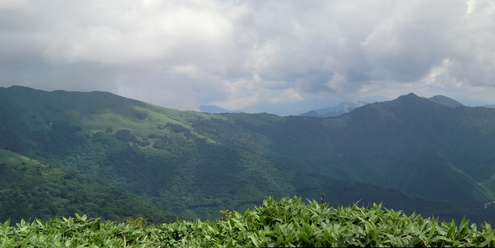 b0185573_8522733.jpg