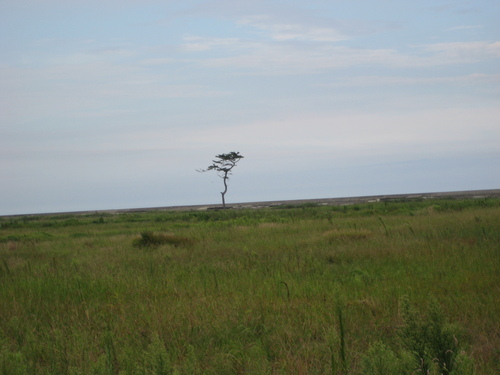 e0275275_2237050.jpg