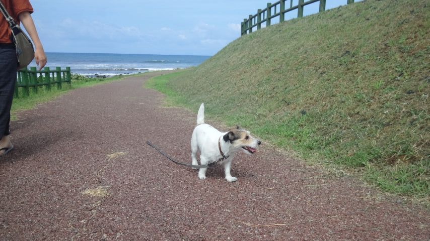 こてつ一家の夏休み2012　東北の旅③ _a0118079_03956100.jpg