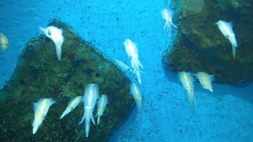 a0118079_04831.jpg