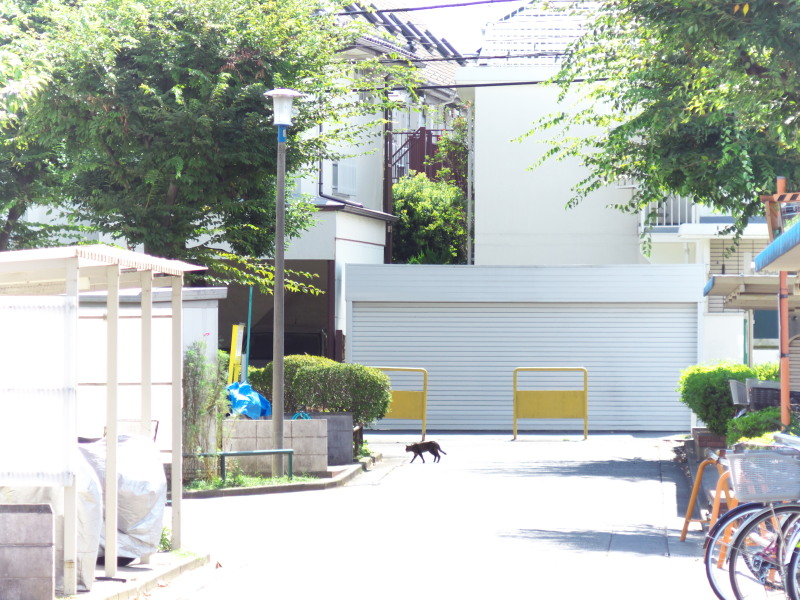 9月も前半ですから_c0109780_1875297.jpg