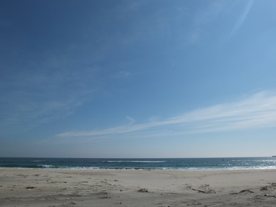 a0180681_2325663.jpg