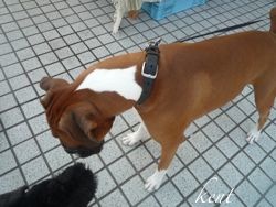 生きるすべ心得ています…_d0266681_175814.jpg