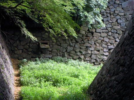 a0223987_15422361.jpg