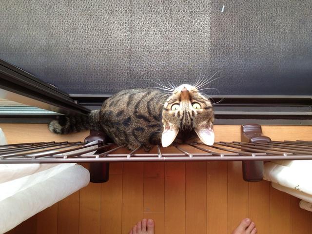 ご用心!_a0126590_12592739.jpg
