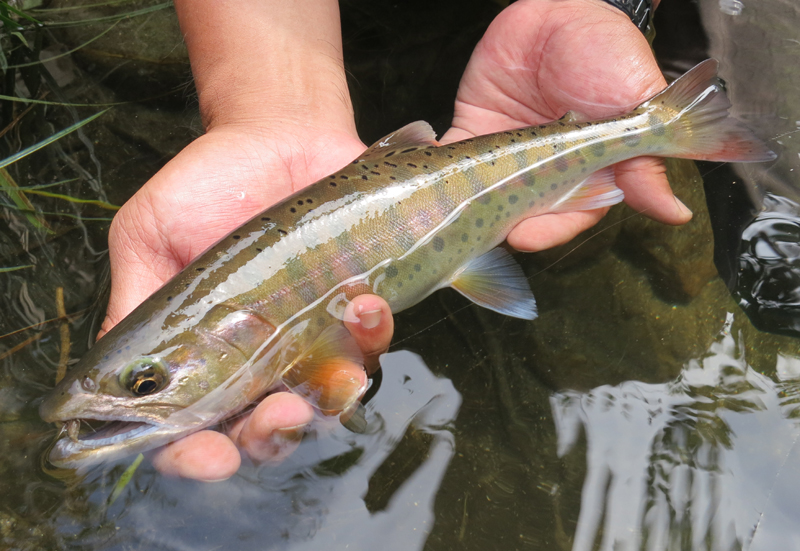 f0166390_2116951.jpg