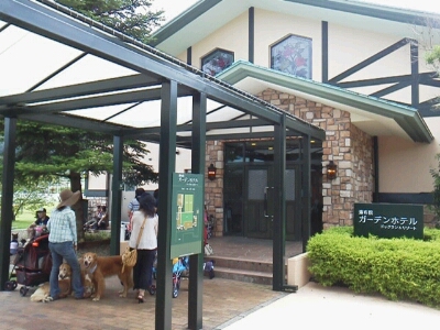 犬吉猫吉撮影会 in 湯布院ガーデンホテル 前編_b0257093_1862377.jpg