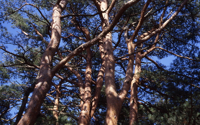 c0214494_17592424.jpg