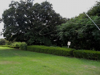 d0166900_20305767.jpg