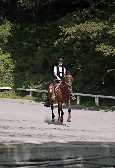 Canter & Trot 9_e0163202_19243345.jpg