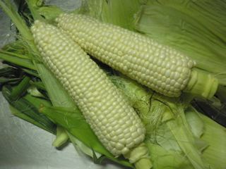 a0235703_3114585.jpg