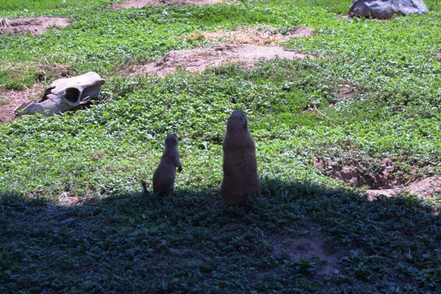 c0062603_13175930.jpg