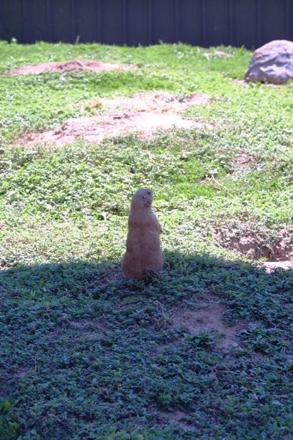 c0062603_13192359.jpg