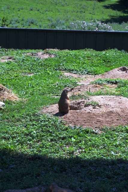c0062603_13193269.jpg