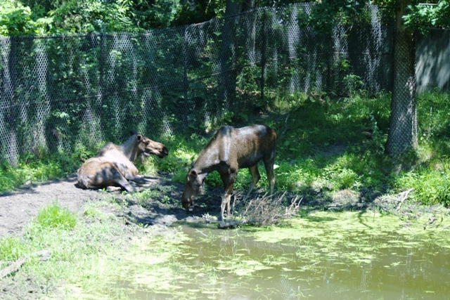 c0062603_13213139.jpg