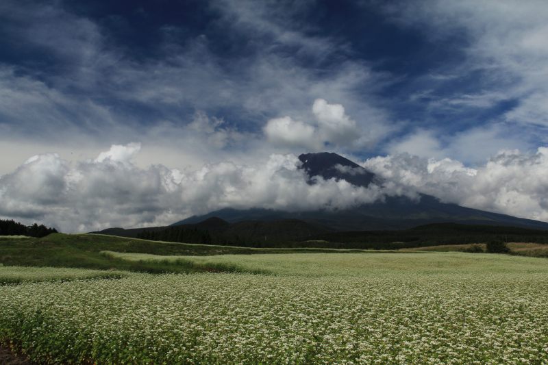 a0188405_1181444.jpg