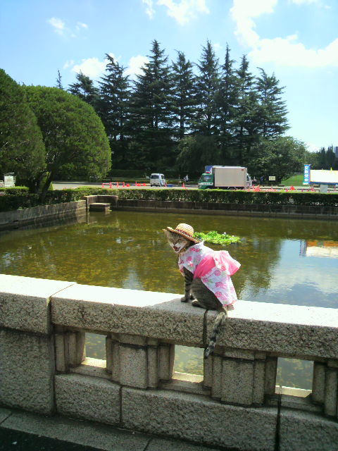 e0031605_1674814.jpg