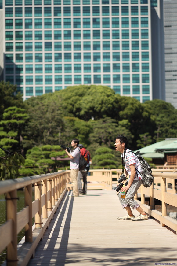 浜離宮恩賜公園のCOSMOS．_e0262305_2247287.jpg