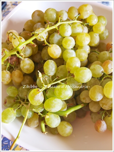 パッシート用のブドウzibibbo ズィビッボ を食す シチリア食通信 時々イタリア