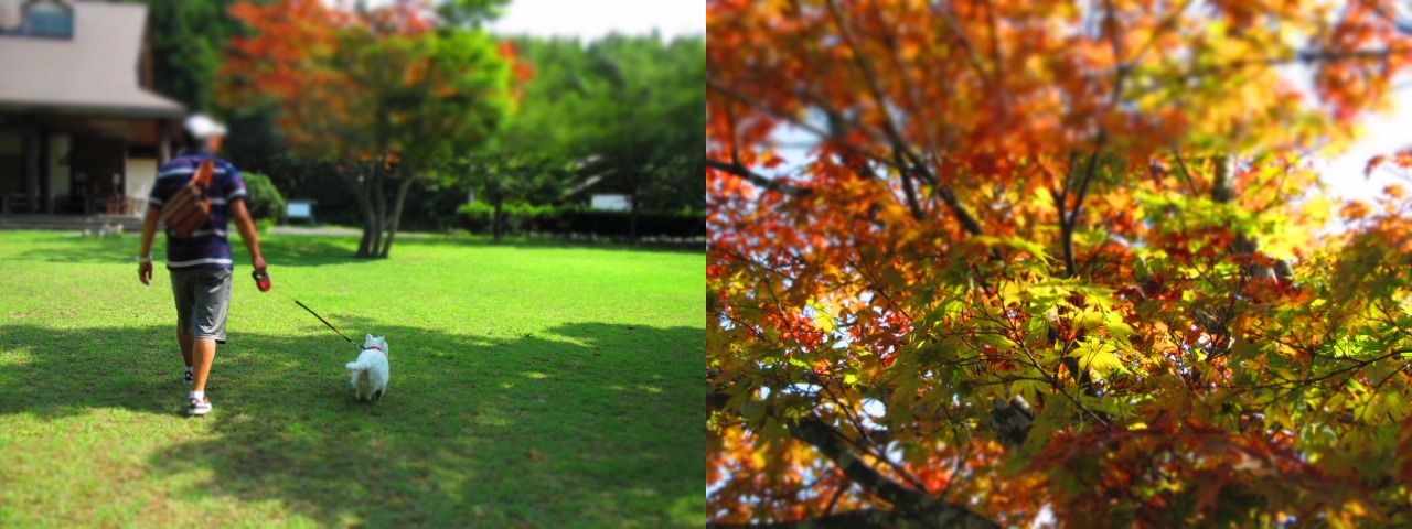 ふと思いたったので日本海を見に行ってみましたぁ♪_f0039907_155322.jpg