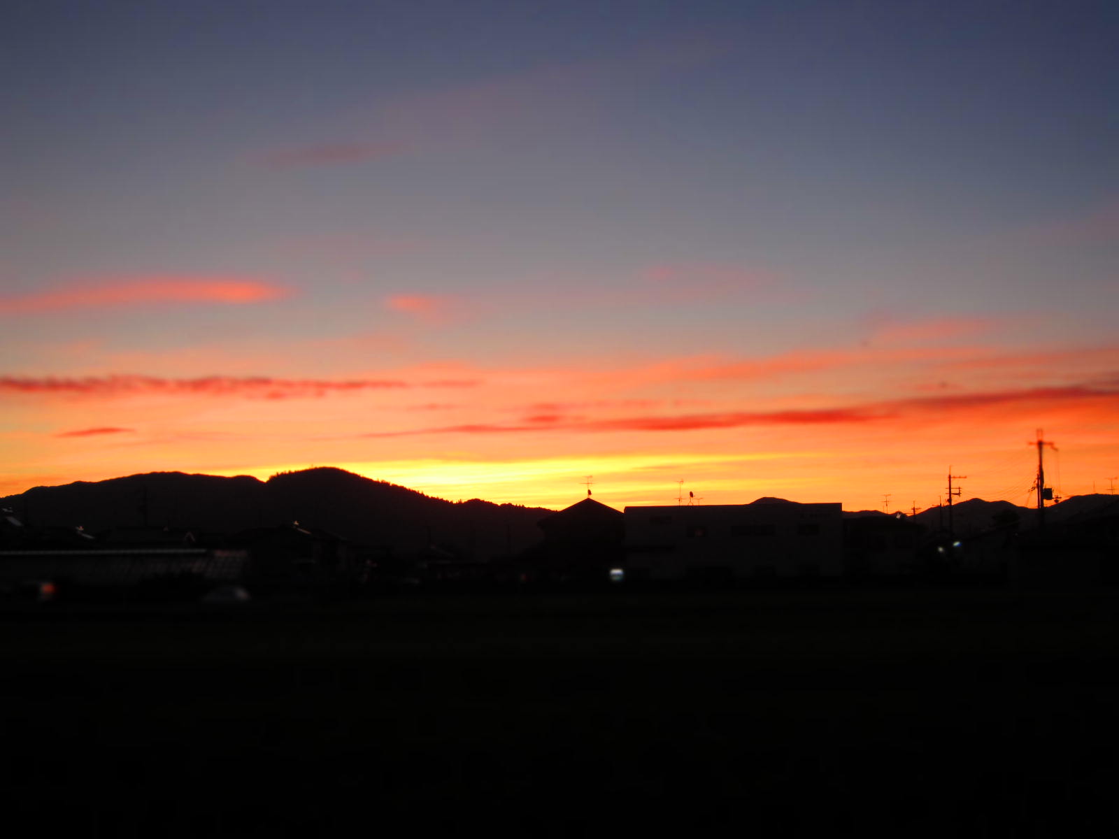 b0194908_20424985.jpg
