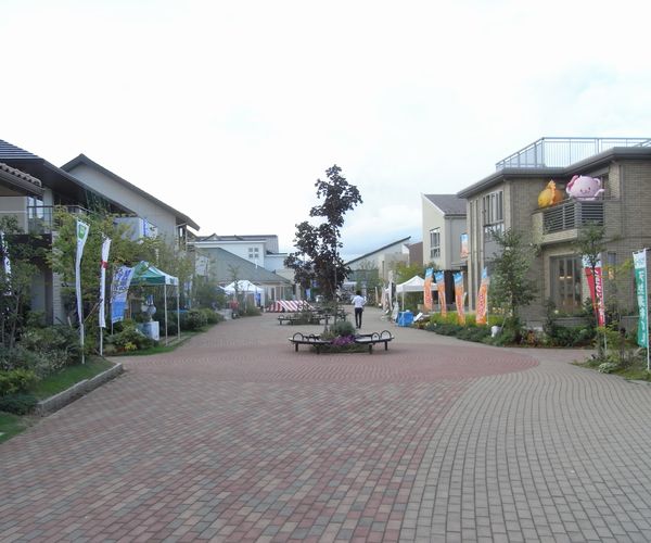 f0006510_22345357.jpg