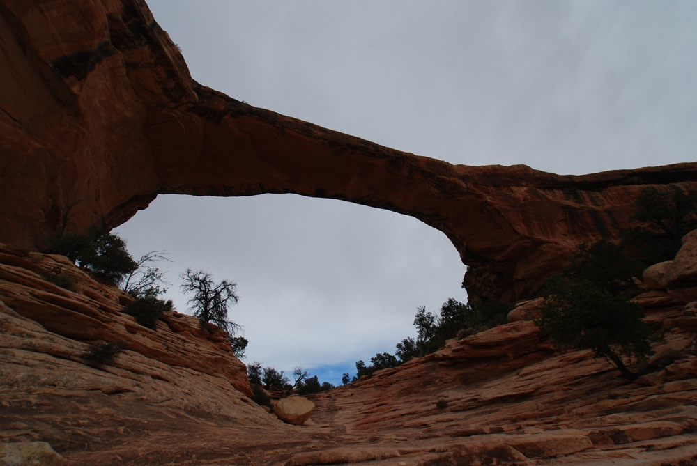 b0021211_4193642.jpg