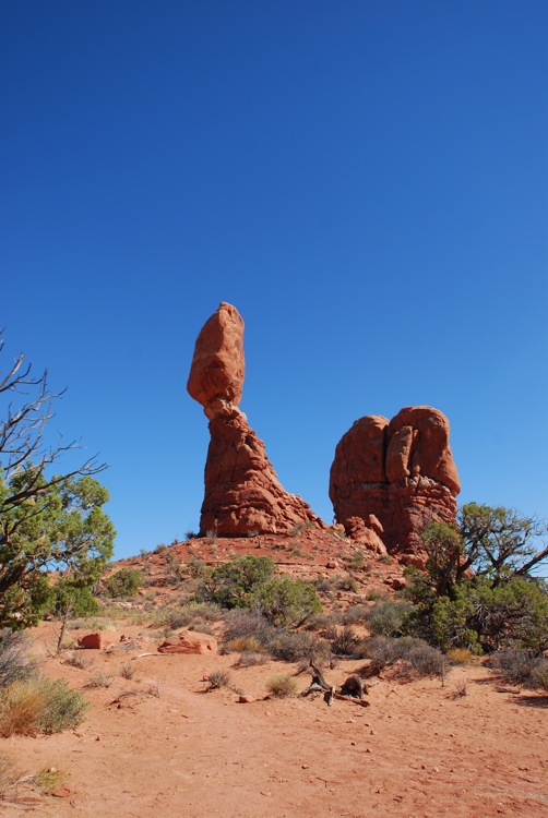 b0021211_493669.jpg