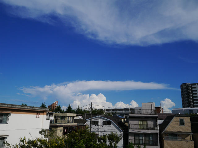f0218911_9361330.jpg